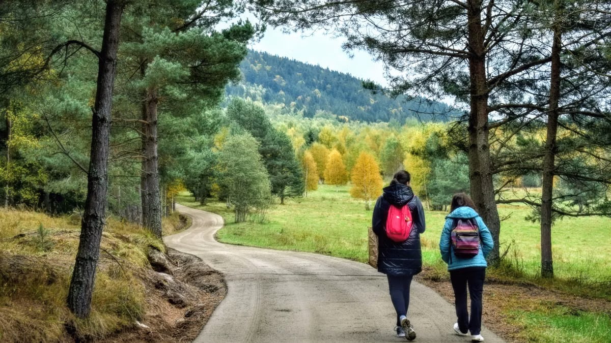 Two people walking along a picturesque forest path in autumn, surrounded by colorful trees.
